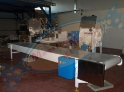 Planta Piloto de extrusionado de regaliz completa