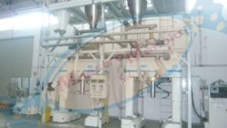 Full factory for sale to produce panettone